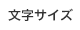 文字サイズ