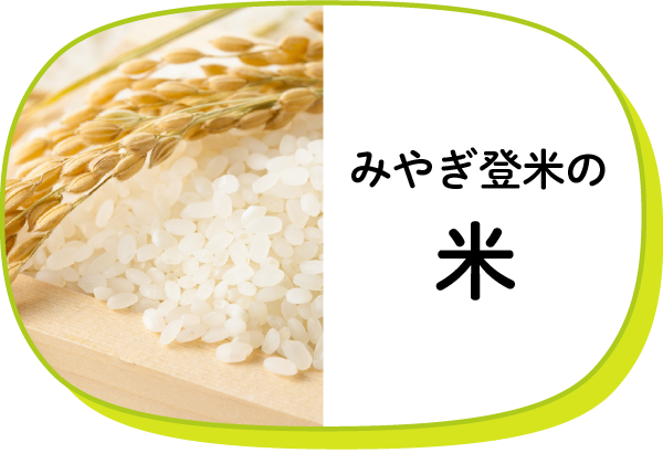 みやぎ登米の米