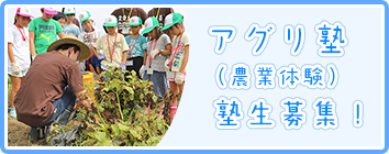 アグリ塾（農業体験）塾生募集！